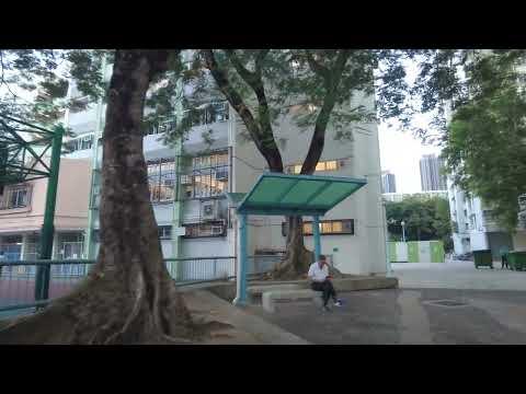 徒步大圍美林邨 City walk in Mei Lam Estate, Tai Wai