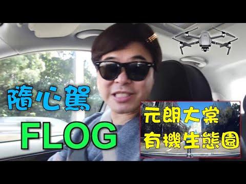 【元朗大棠】 元朗大棠 有機生態園 | 假期中絕無僅有的節目