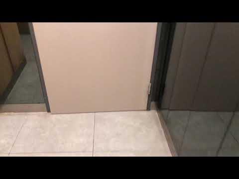 Hong Kong Toilet at Shopping Centre - Paradise Mall 香港商場洗手間 - 杏花新城