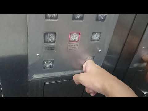 佐敦香港童軍中心迅達升降機(通往停車場)
