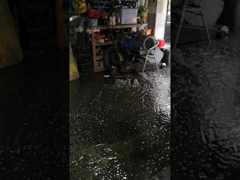 油塘工業城B2座13號地鋪實況
