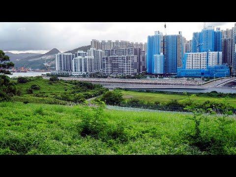 狗玩之地D--自駕前往將軍澳尋找那"想寵物所想之公園" 2021Tseung Kwan O Waterfront Park & Wan Po Road Pet Garden