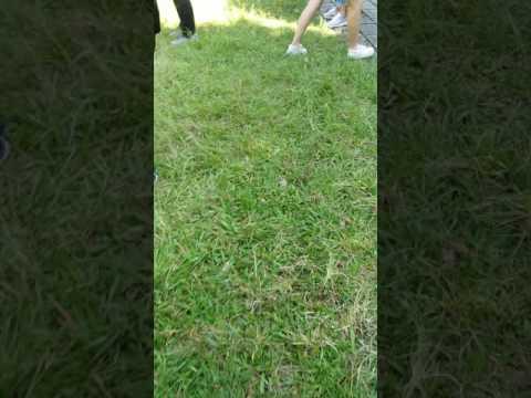 K1班2016年10月學校旅行西貢 獅子會(9)