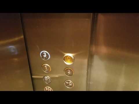 【新場】鯉魚門海傲灣停車場OTIS升降機