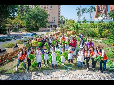 Christmas Harvesting at Hong Kong Gold Coast Hotel 香港黃金海岸酒店「聖誕豐收日」 支持「愛心聖誕大行動」
