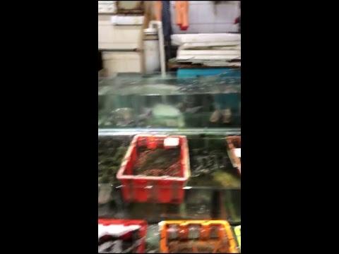 九龍葵涌邨商場