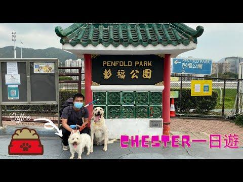 《Chester 去哪兒?🐶》彭福公園｜Chester掉咗落水！｜假日狗狗去處￼🎡