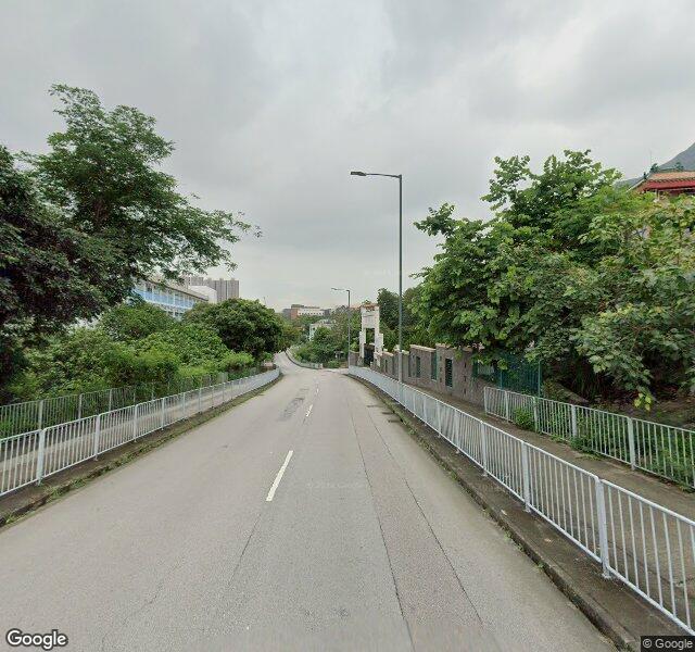 楊青路咪錶