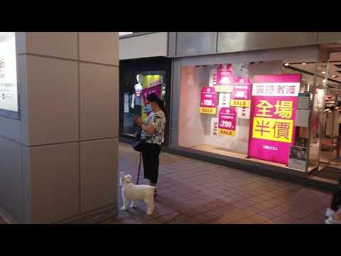 銅鑼灣SOGO 世貿中心外拍攝 (2020-8-8)