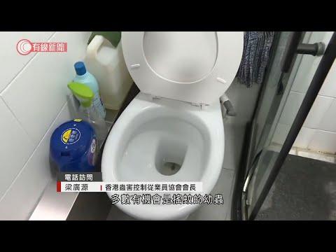 上水寶石湖邨12戶坐廁現活蟲　住客：每朝都見到成堆　專家料為搖蚊幼蟲：只可頻頻沖水解決 - 20200926 - 香港新聞 - 有線新聞 CABLE News