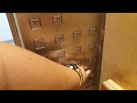 上水寶石湖邨紫晶樓東芝(Toshiba)消防升降機(高層)