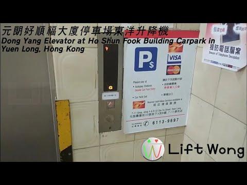 元朗好順福大廈停車場東洋升降機
