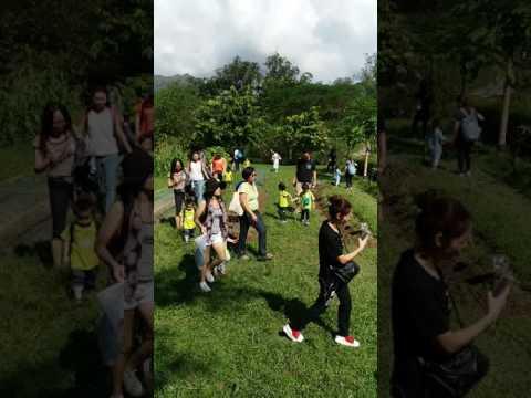 K1班2016年10月學校旅行西貢 獅子會(11)