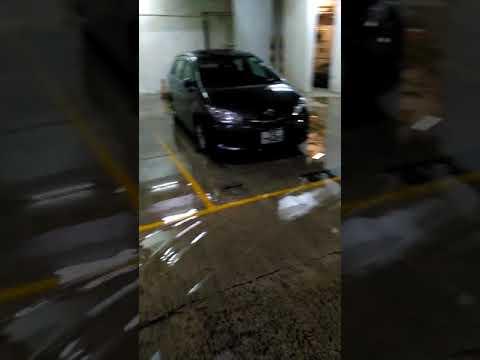 突發系列：上水名都停車場開始水浸，大家快啲開車走啦😱（轉載）