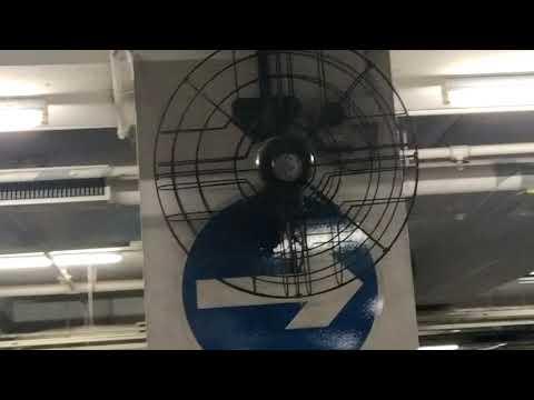 東港城停車場力大牌疏網牛角扇