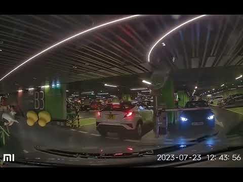 大圍圍方停車場 (入) The Wai Carpark in Tai Wai (In)