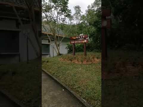 【Hong Kong Travel 】🌿🌱 20221106 🍀☘九龍西貢獅子會自然教育中心、地質公園遊客中心、聰明茶座、蕉坑自然教育徑 🦋🌹