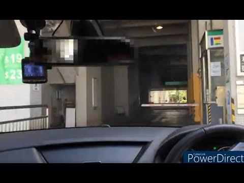 大埔寶湖花園停車場 (入-出)