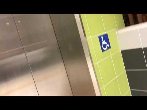最後一部2019影片彩興苑東芝無機房升降機塔