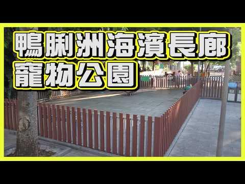 【十八區狗公園】鴨脷洲海濱長廊寵物公園