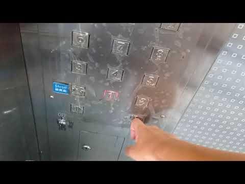 荃灣荃灣多層停車場大廈東芝升降機（3）
