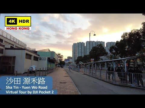 【HK 4K】沙田 源禾路 | Sha Tin - Yuen Wo Road | DJI Pocket 2 | 2021.11.30
