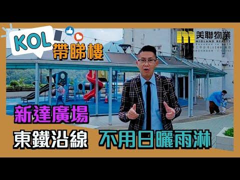 【代理Wilson推介】新達廣場3座低層A室