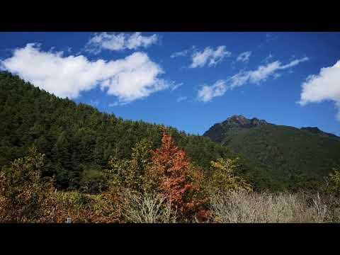 武陵農場【武陵山莊】停車場周圍山景