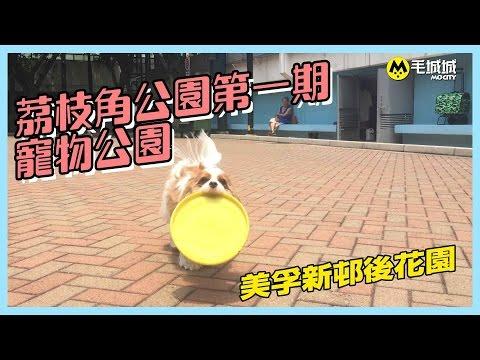 【十八區狗公園】 荔枝角公園第一期寵物公園