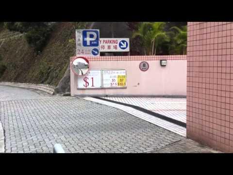 何文田體育館游泳池停車場幾多錢 (2012)
