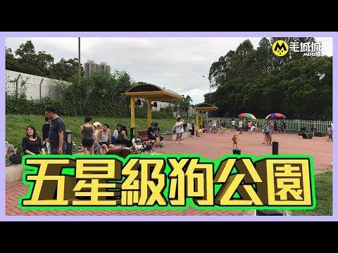 【十八區狗公園】將軍澳環保大道寵物公園
