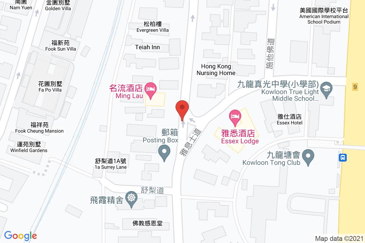 金巴倫道咪錶