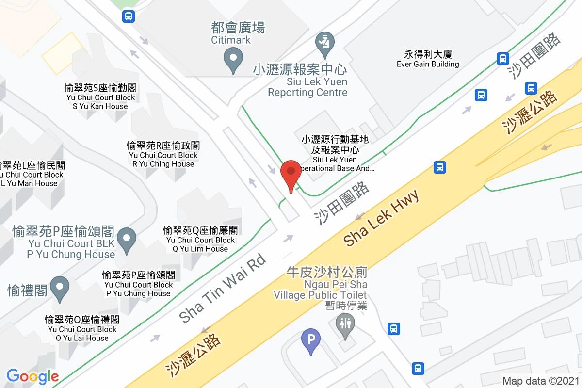 牛皮沙街車場  2咪錶