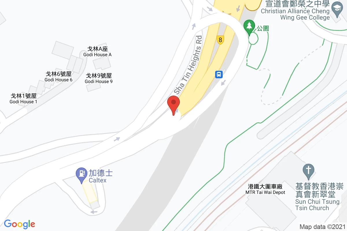 大埔公路車場  2咪錶