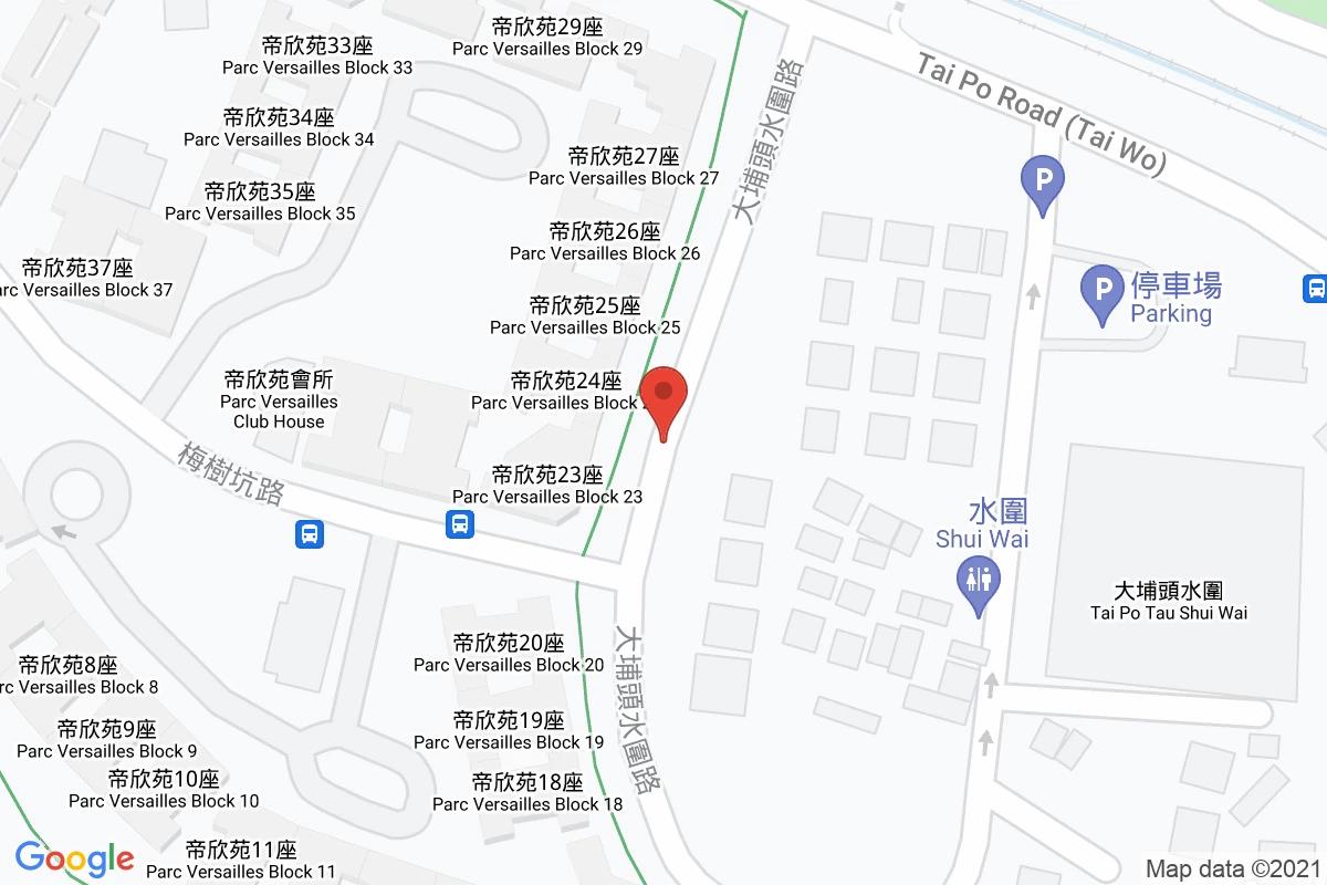 大埔水圍路車場咪錶