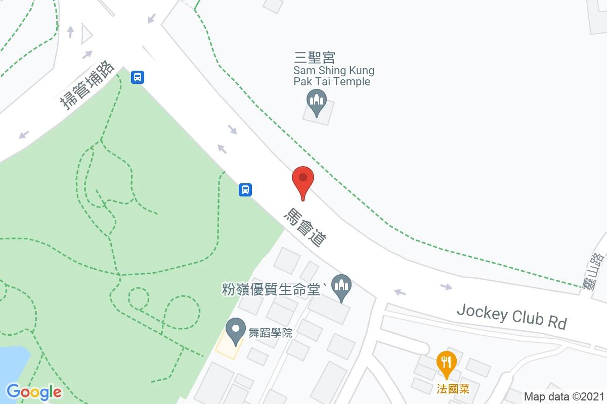 北圍車場 (近馬會道)咪錶