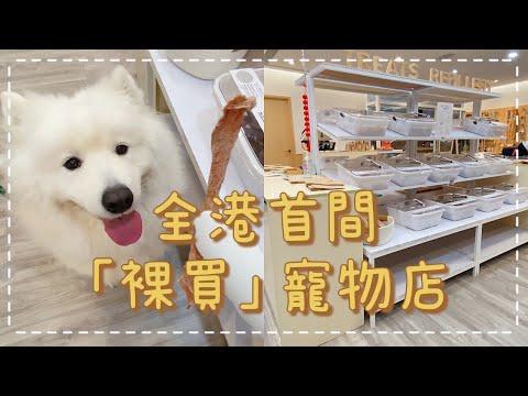 放狗好去處🐙｜全港首間「裸買」寵物用品的寵物店｜南豐紗廠 The Mills｜西摩犬Tako｜@Big Dog Channel