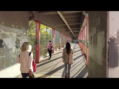 舊居回憶之旅，美麗的祖堯村20210131