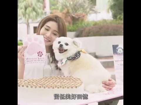 Stanley Plaza Paws By The Sea 2019 (赤柱廣場「犬」愛方程式)
