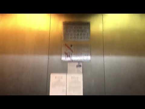 油塘鯉魚門廣場貨運oits升降機