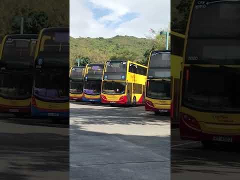 (迪士尼巴士專用停車場）迪士尼巴士總站