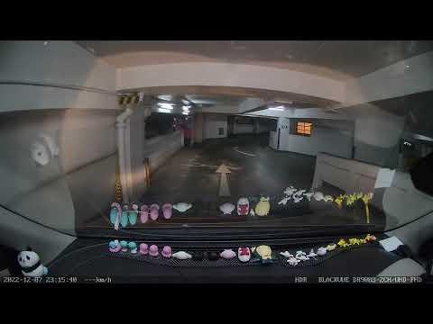[停車場資訊] 銅鑼灣禮頓中心停車場 - 出
