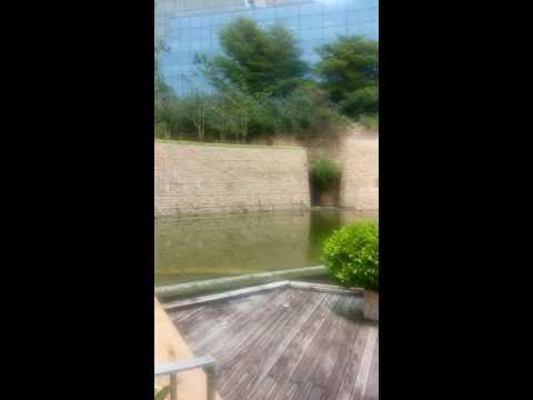 香港數碼港三座地下附近㬌色