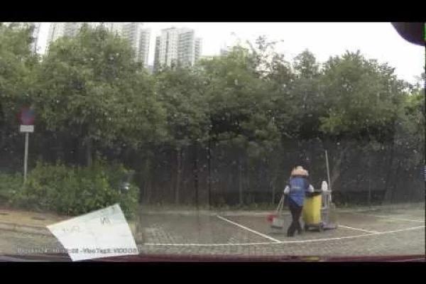 停車場介紹: 濕地公園 (入)
