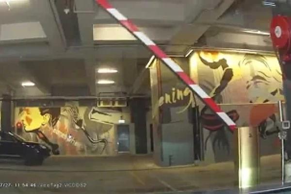 停車場介紹: 荔枝角 D2 Place (入)