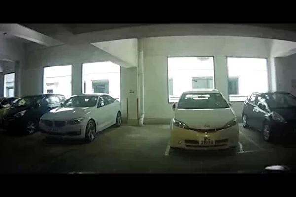 香港停車場 - 粉嶺中心停車場