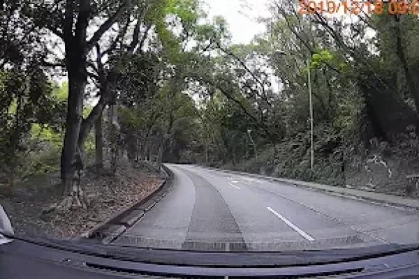 香港泊車好去處 - 大棠郊野公園停車場 (入)