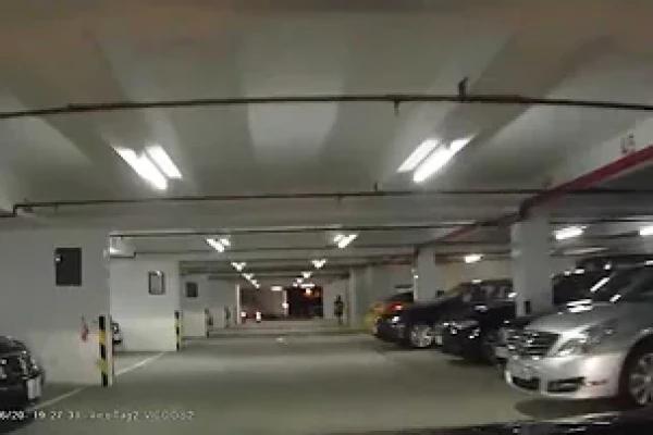 停車場介紹: 銅鑼灣南華會 (入)
