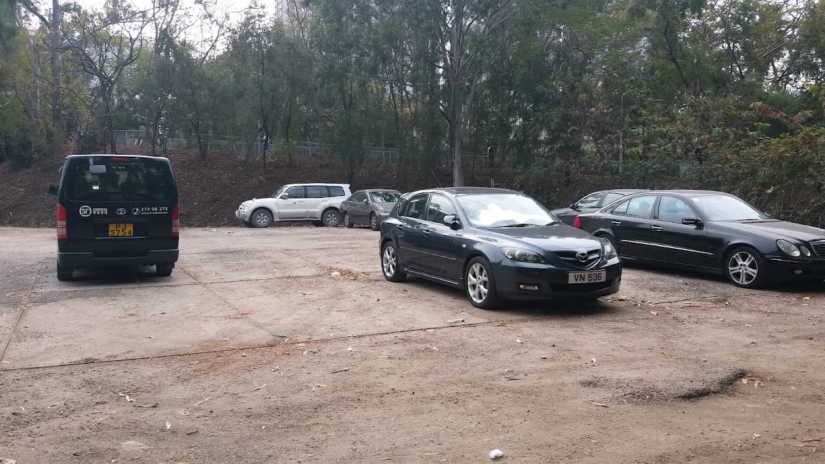 粉嶺置華里綽德停車場 實景照片 10